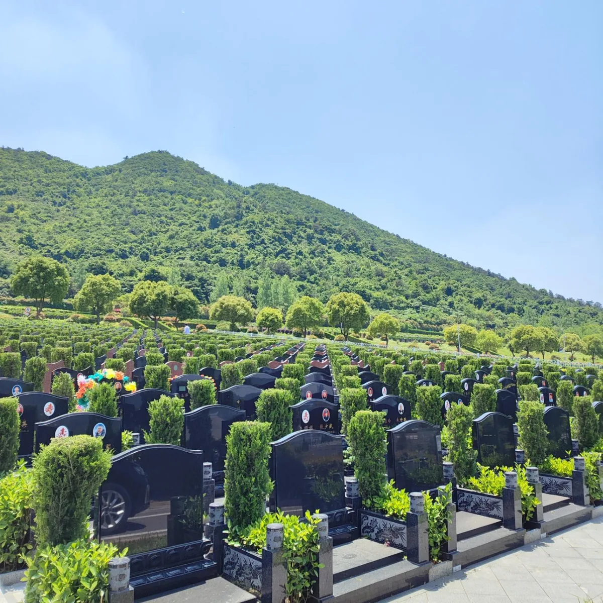 陵园墓碑工程实拍：黑色花岗岩套碑成批安装